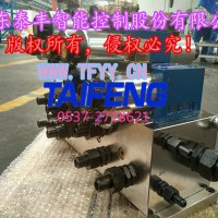 泰丰生产插装阀YN32-315HGCV-00