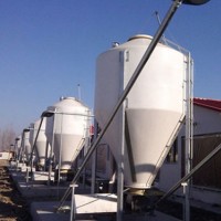 河北自动喂料系统生产厂家-万晟畜牧加工自动化上料系统配套设备