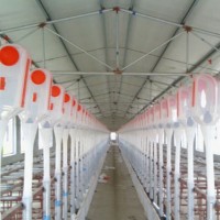 北京自动料线订做-沧州万晟畜牧设备订制自动喂料系统