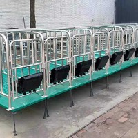 母猪复合定位栏价格从优「旺农畜牧」新疆乌鲁木齐母猪定位栏
