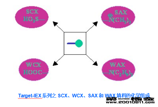 Target-IEX 系列离子交换色谱柱填料组成