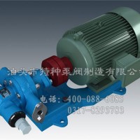 云南不锈钢泵生产-泊头特种泵阀厂家零售KCB齿轮泵