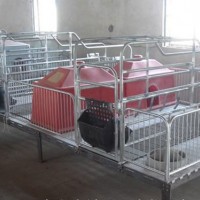 湖北母猪保育床加工厂家~万晟畜牧设备公司供应猪仔保育床
