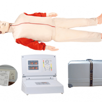 康谊牌KAY/CPR480高级全自动电脑心肺复苏模拟人教具