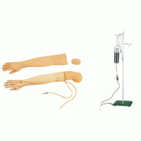 KAY-S2A高级手臂静脉穿刺及肌肉注射训练模型（可换外皮）