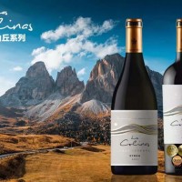山丘西拉珍藏红葡萄酒 智利进口葡萄酒