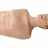 KAY-CK817心包穿刺与心内注射训练模型-康谊公司模型