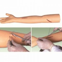 康谊牌KAY-F1高级外科缝合手臂模型-上肢外科缝合训练模型