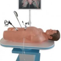 康谊牌KAY-FQJ600如何赚零售业桶金真腹腔镜手术技能训练人体模型