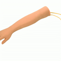 高级儿童手臂静脉穿刺训练模型-幼儿手臂静脉注射训练模型