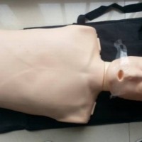 KAY/CPR100A电子版半身心肺复苏模拟人（带频率检测器