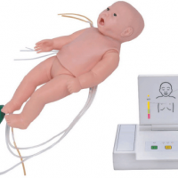 KAY-FT435全功能新生儿高级模拟人儿科专业技能训练模型