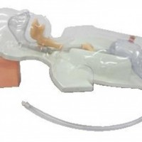 KAY-A3小儿多功能透明鼻饲及洗胃模型-小儿洗胃模型