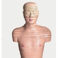 KL1308人体头颈部横断断层解剖模型-上海康谊公司