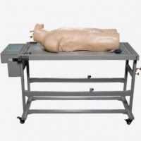 康谊牌L260A高级综合穿刺术与叩诊检查技能训练模拟人