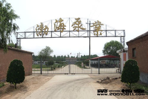 沧州市渤海油泵生产厂油泵 排空装置批发商@永顺县