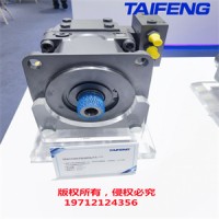厂家直销泰丰斜盘式轴向柱塞变量泵 TFA7VO/10 系列
