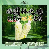 园林牌白柠檬味汽水经典苏州口味经典汽水夏季畅销